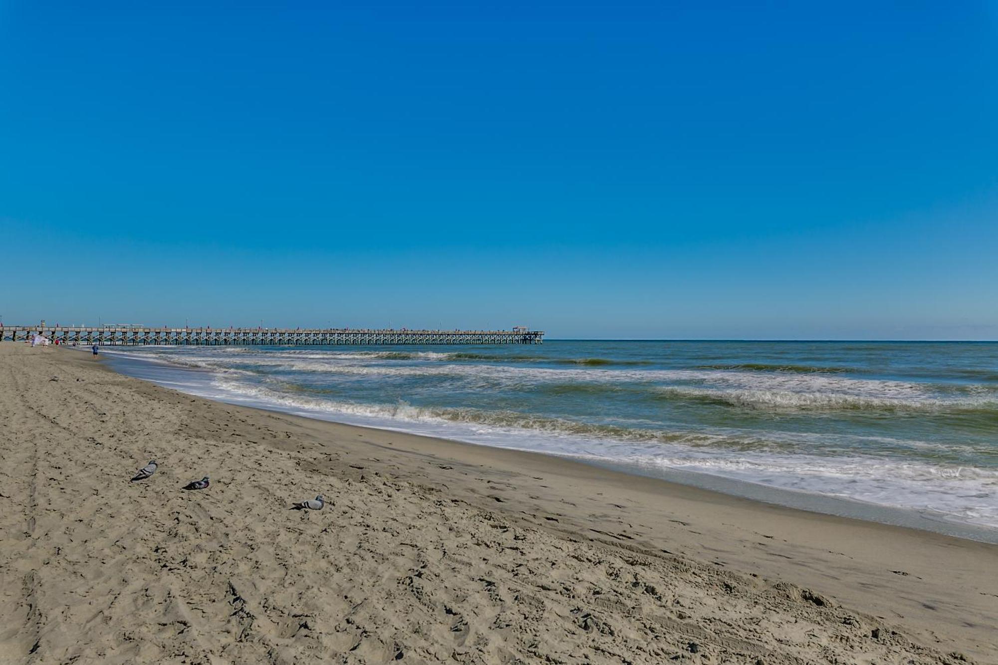 Stunning Oceanfront King Suite On 18Th Floor Centrally Located Myrtle Beach Exteriör bild